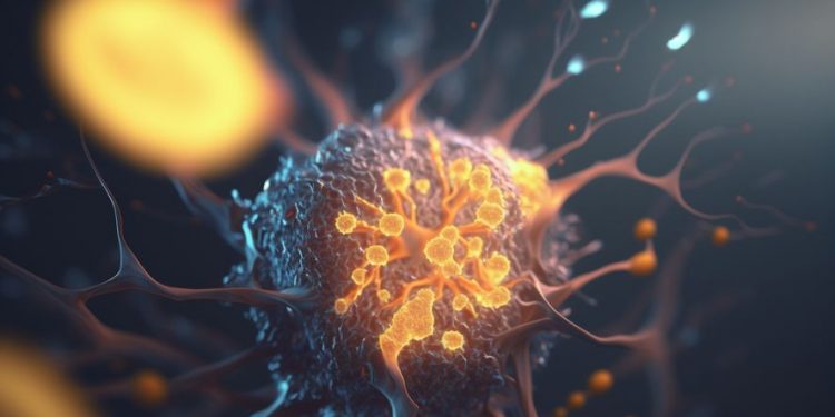 Lymphoma – What You Need to Know