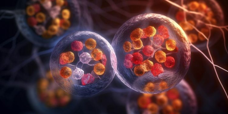 Mantle Cell Lymphoma