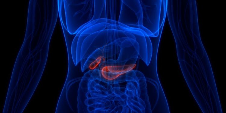 Pancreatic Cancer Symptoms
