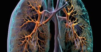 Can you completely beat lung cancer?